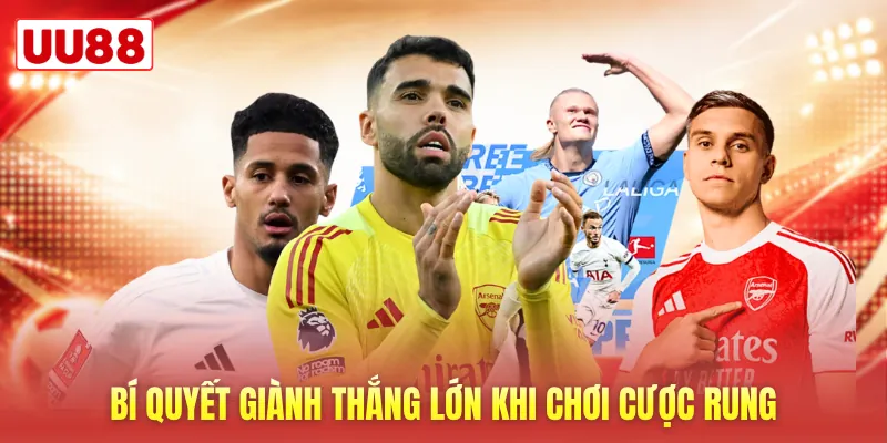 Bí quyết giành thắng lớn khi chơi cược rung Bí quyết giành thắng lớn khi chơi cược rung