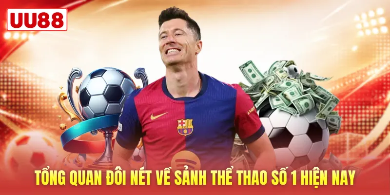 Tổng quan đôi nét về sảnh thể thao số 1 hiện nay Tổng quan đôi nét về sảnh thể thao số 1 hiện nay